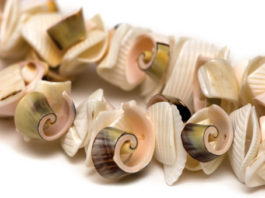 Creare gioielli naturali 739 0 077 Creare gioielli naturali